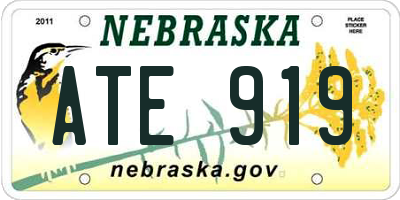 NE license plate ATE919