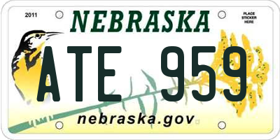 NE license plate ATE959