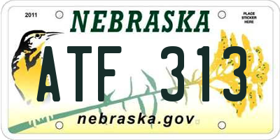 NE license plate ATF313