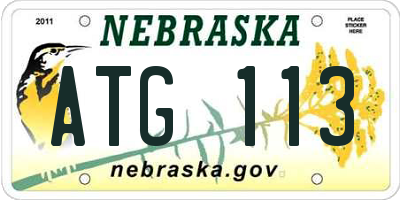 NE license plate ATG113