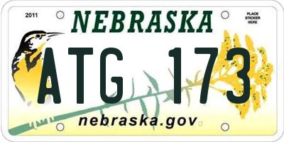 NE license plate ATG173