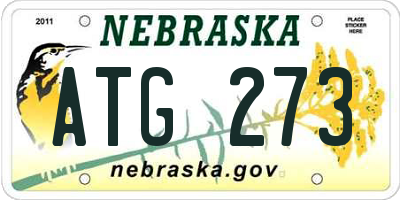 NE license plate ATG273
