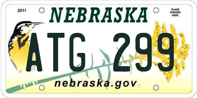 NE license plate ATG299
