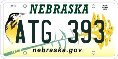 NE license plate ATG393