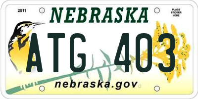 NE license plate ATG403