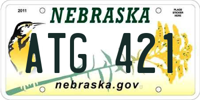 NE license plate ATG421