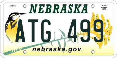 NE license plate ATG499