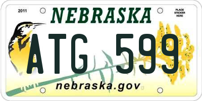 NE license plate ATG599
