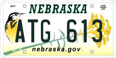 NE license plate ATG613