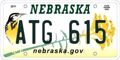 NE license plate ATG615