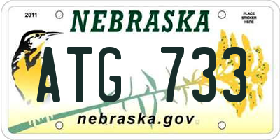 NE license plate ATG733
