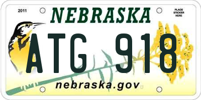 NE license plate ATG918