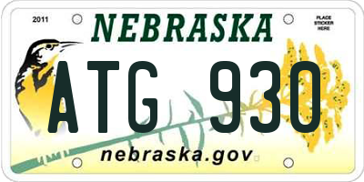 NE license plate ATG930