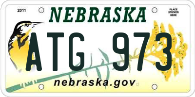 NE license plate ATG973