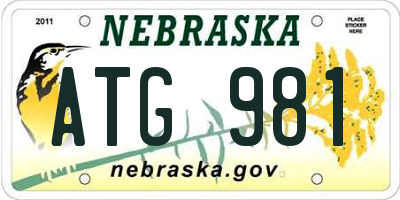 NE license plate ATG981