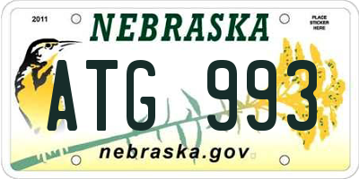 NE license plate ATG993