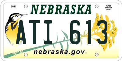 NE license plate ATI613