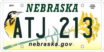 NE license plate ATJ213