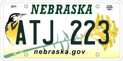 NE license plate ATJ223