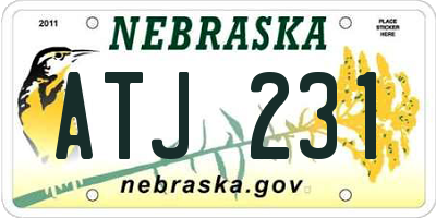NE license plate ATJ231