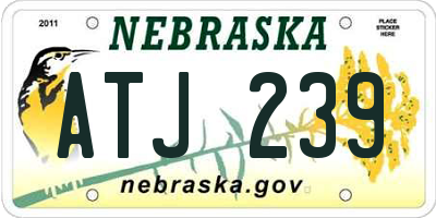 NE license plate ATJ239