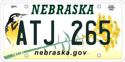 NE license plate ATJ265