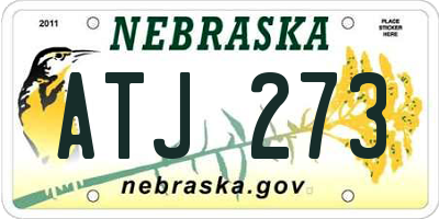 NE license plate ATJ273