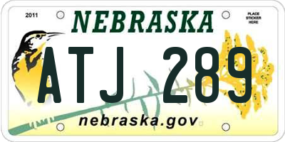 NE license plate ATJ289