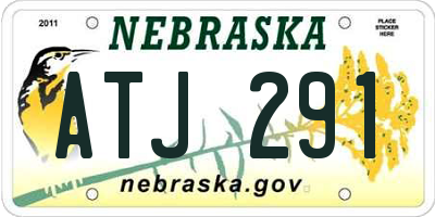 NE license plate ATJ291