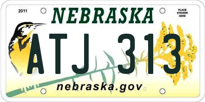 NE license plate ATJ313