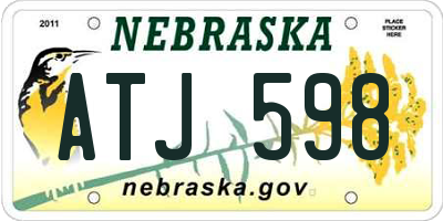 NE license plate ATJ598