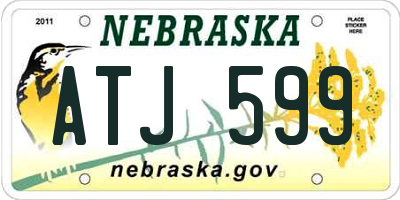 NE license plate ATJ599