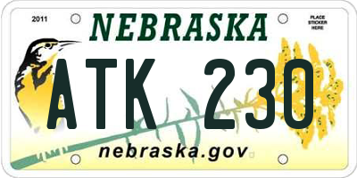 NE license plate ATK230