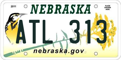 NE license plate ATL313