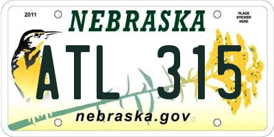 NE license plate ATL315