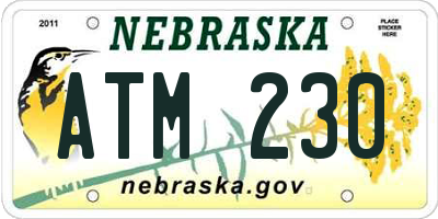 NE license plate ATM230