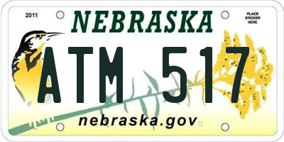 NE license plate ATM517