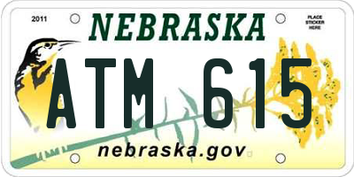 NE license plate ATM615