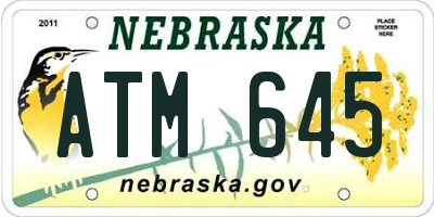 NE license plate ATM645