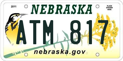 NE license plate ATM817