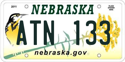 NE license plate ATN133