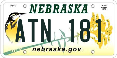 NE license plate ATN181
