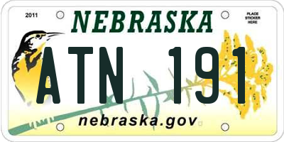 NE license plate ATN191