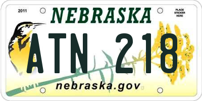 NE license plate ATN218