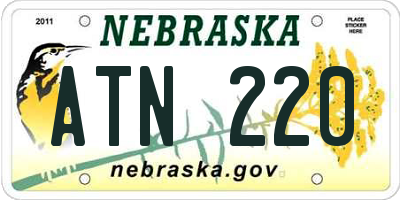 NE license plate ATN220