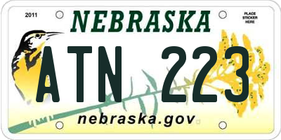 NE license plate ATN223