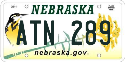 NE license plate ATN289