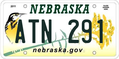 NE license plate ATN291