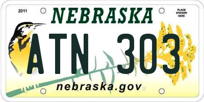 NE license plate ATN303