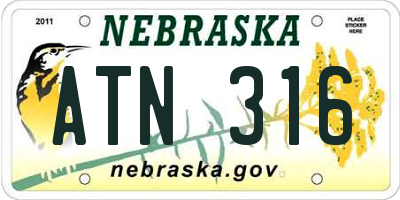 NE license plate ATN316